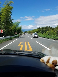 20190813_095229.jpg