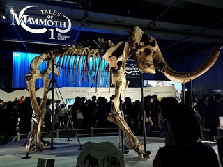 20191104_125530.jpg