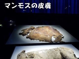 20191104_130640.jpg