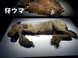 20191104_130646.jpg