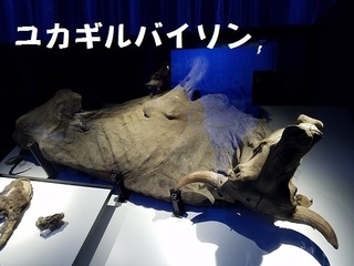 20191104_131034.jpg