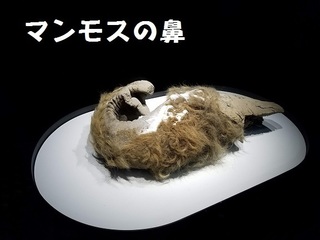 20191104_131719.jpg