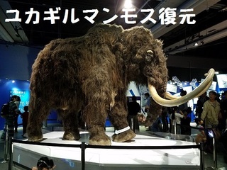 20191104_132049.jpg