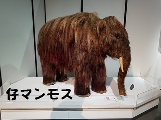 20191104_134351.jpg