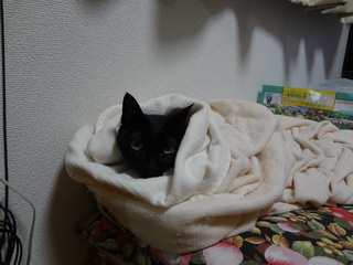 DSC00583.JPG