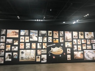 ねこやすみてん2.jpg
