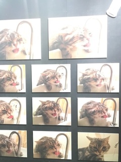 ねこやすみてん7.jpg