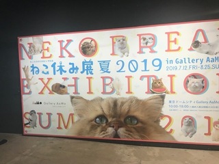 ねこ休み展1.jpg