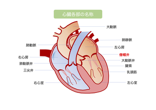 各部の名称.jpg
