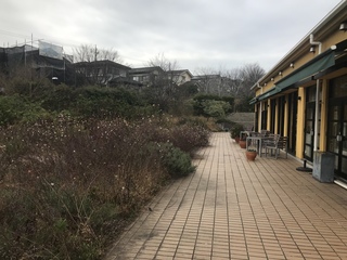 F24FADC4-F0C5-4240-88F3-326014A1703E.jpeg