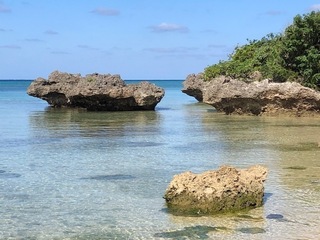 IMG_5850.jpg
