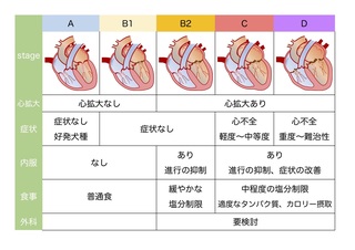 MR説明用Stage表.jpg