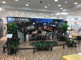 image2-5.jpg