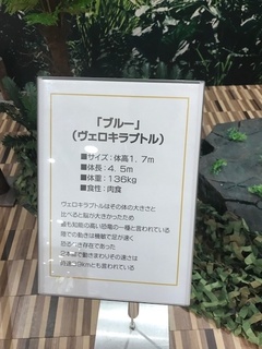 image5.jpg