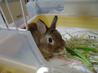DSC00406.JPG