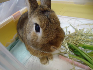 DSC00409.JPG
